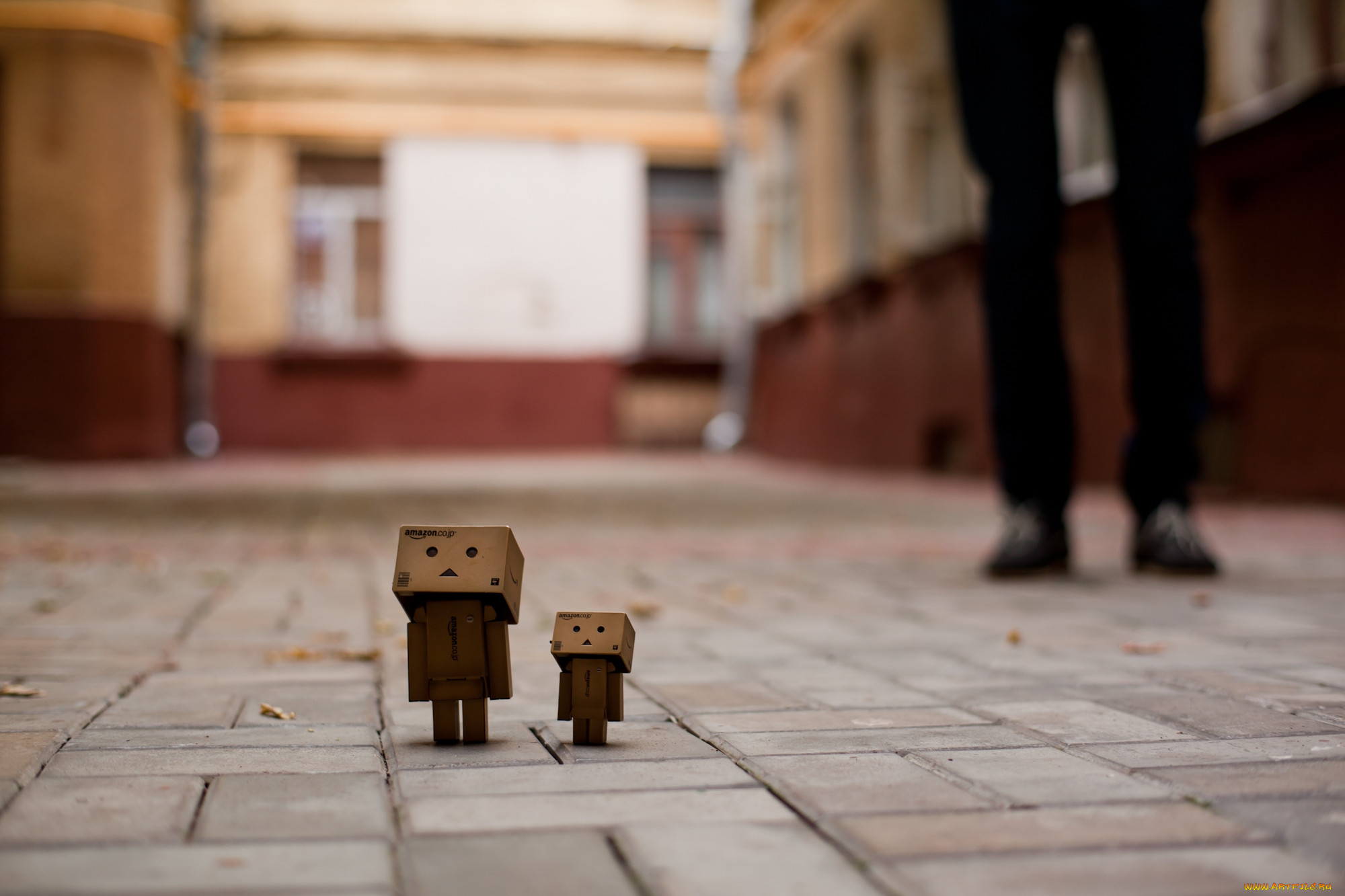 , , danboard, , 
